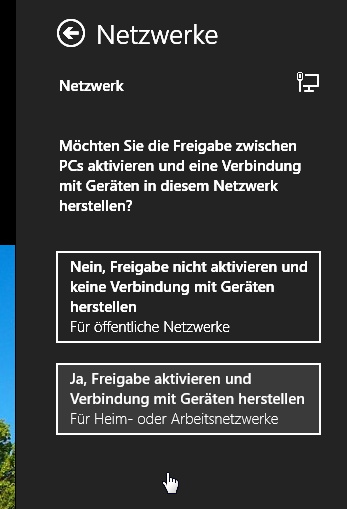 Netzwerk-win8-4.jpg